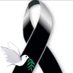 Meet your Posher, Xiomara